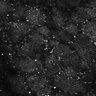 Thumbnail for dataset Fig5-S5_Acp_FOV1_6