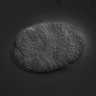 Thumbnail for RNAi_C29E4.8_040610_01