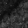 Thumbnail for dataset Fig5-S5_Acp_FOV1_14