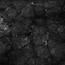 Thumbnail for dataset Fig5-S5_Acp_FOV2_4
