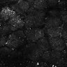 Thumbnail for dataset Fig5-S5_Acp_FOV2_15