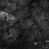 Thumbnail for dataset Fig5-S5_Acp_FOV2_20