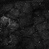 Thumbnail for dataset Fig5-S5_Acp_FOV2_24