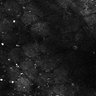 Thumbnail for dataset Fig5-S5_Bu_FOV1_6