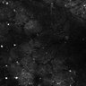 Thumbnail for dataset Fig5-S5_Bu_FOV1_14