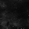 Thumbnail for dataset Fig5-S5_Bu_FOV1_25