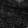 Thumbnail for dataset Fig5-S5_Bu_FOV2_1