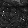 Thumbnail for dataset Fig5-S5_Bu_FOV2_12