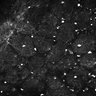 Thumbnail for dataset Fig5-S5_Bz_FOV1_8
