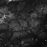 Thumbnail for dataset Fig5-S5_Bz_FOV2_9