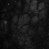 Thumbnail for dataset Fig5-S5_Bz_FOV2_15