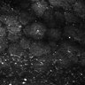 Thumbnail for dataset Fig5-S5_Ehx_FOV2_12