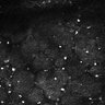 Thumbnail for dataset Fig5-S5_Gua_FOV1_4