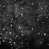 Thumbnail for dataset Fig5-S5_Gua_FOV1_13