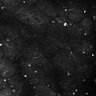 Thumbnail for dataset Fig5-S5_Gua_FOV2_10
