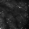 Thumbnail for dataset Fig5-S5_Gua_FOV2_15