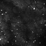 Thumbnail for dataset Fig5-S5_Gua_FOV2_19