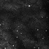 Thumbnail for dataset Fig5-S5_Gua_FOV2_25