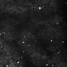 Thumbnail for dataset Fig5-S5_Gua_FOV2_30