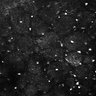 Thumbnail for dataset Fig5-S5_Hex_FOV1_5