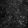 Thumbnail for dataset Fig5-S5_Hex_FOV1_6