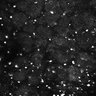 Thumbnail for dataset Fig5-S5_Hex_FOV1_12
