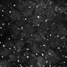 Thumbnail for dataset Fig5-S5_Hex_FOV1_18
