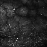 Thumbnail for dataset Fig5-S5_Hex_FOV2_4