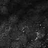 Thumbnail for dataset Fig5-S5_Hex_FOV2_12
