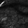 Thumbnail for dataset Fig5-S5_Oca_FOV1_20