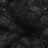 Thumbnail for dataset Fig5-S5_Oca_FOV2_4