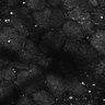 Thumbnail for dataset Fig5-S5_Oca_FOV2_10