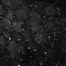 Thumbnail for dataset Fig5-S5_Oca_FOV3_6