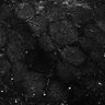 Thumbnail for dataset Fig5-S5_Oca_FOV3_29