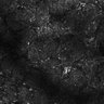 Thumbnail for dataset Fig5-S5_Val_FOV1_23