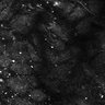 Thumbnail for dataset Fig5-S5_Val_FOV3_9