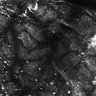 Thumbnail for dataset Fig5-S5_Val_FOV3_14