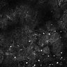 Thumbnail for dataset Fig5-S5_Val_FOV3_20