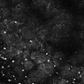 Thumbnail for dataset Fig5-S5_Val_FOV3_23