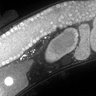 Thumbnail for dataset FigS1B_DMRE_110722-2