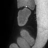 Thumbnail for dataset FigS1D_DMRE_140630-7