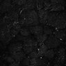 Thumbnail for dataset Fig6-S6_Acp-Gua_Mouse3_19