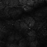 Thumbnail for dataset Fig6-S6_Acp-Gua_Mouse4_11