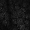 Thumbnail for dataset Fig6-S6_Bua-Hex_Mouse1_6