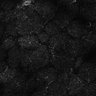 Thumbnail for dataset Fig6-S6_Bua-Hex_Mouse1_28