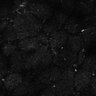 Thumbnail for dataset Fig6-S6_Bua-Hex_Mouse1_38