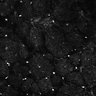 Thumbnail for dataset Fig6-S6_Bz-Val-mixture_Mouse1_5