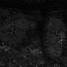 Thumbnail for dataset Fig6-S6_Bz-Val-mixture_Mouse2_36