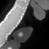 Thumbnail for dataset FigS1G_DMRE_110406-1