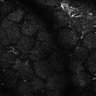 Thumbnail for dataset Fig6-S6_Oca-Pna_Mouse3_16